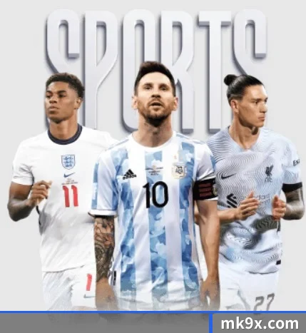 五大服务分区,信息按项目分类 | mksports